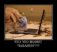 /album/nash-klan/images-jpeg/